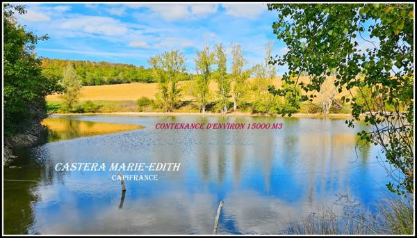 Propriete à vendre-Maison 7 pièces + bâtiments- 85,61 HECTARES proche de VIC FEZENSAC (32)