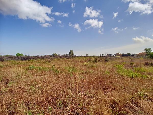 Vente / Terrain agricole