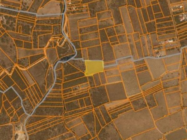 Vente / Terrain agricole