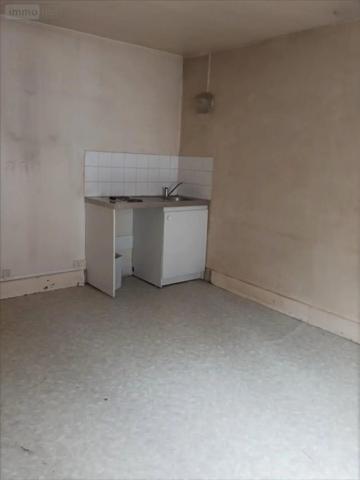 Achat - Maison Châteauneuf-sur-Cher 18190 7 pièces 160 m 2 124 m 2
