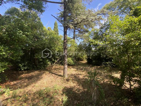 EXCLUSIVITÉ – Marseille 12e | Maison de 200 m² environ à rénover sur 2 000 m² de terrain.

*** LE TERRAIN N'EST PAS DIVISIBLE ***

On pousse le portail, et la ville disparaît. Devant vous : 2 000 m² de verdure, et cette maison des années 30 qui se dévoile entre les arbres.

À l’intérieur, la lumière du Sud/Ouest entre à flots et glisse sur les murs. Les volumes sont généreux, la hauteur sous plafond comme on n’en fait plus. On imagine déjà les pièces vivre à nouveau.

Une piscine se cache entre les feuillages, sans aucun vis-à-vis. Juste l’eau, les arbres, et le silence.

200 m² à rénover entièrement — une page blanche pour écrire votre projet, du sol au plafond.

Au rez-de-chaussée : vaste cuisine, salle à manger, double séjour avec cheminée.
À l’étage : 4 chambres lumineuses, salle de bains.
Également : combles aménageables et garage.

La campagne en pleine ville, à quelques minutes des commodités. Un bien et un terrain comme il en passe rarement.

Visite sur rendez-vous.
06.24.36.15.62
coraliemourgues@bskimmobilier.com
Coralie Mourgues