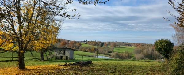 Dpt Corrèze (19), à vendre ESTIVAUX propriete P7