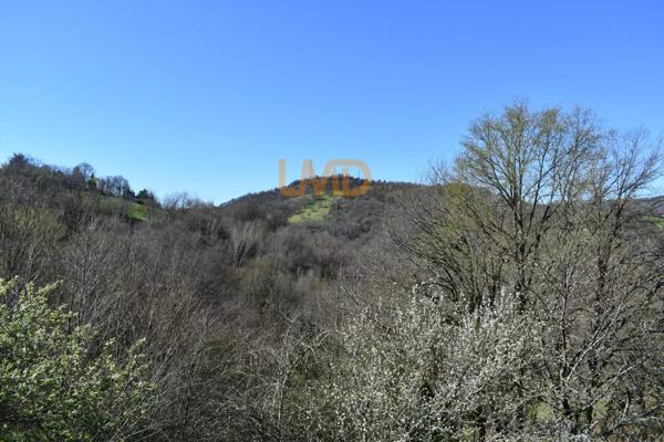 Maison spacieuse à vendre à Decazeville,