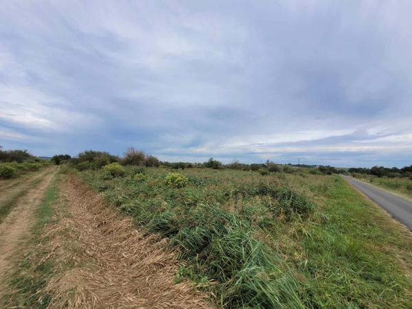 Terrain à SAINT BONNET SUR GIRONDE (17150)
