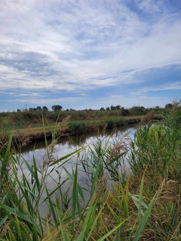Terrain à SAINT BONNET SUR GIRONDE (17150)