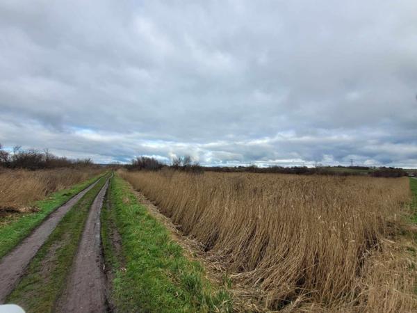Terrain à SAINT BONNET SUR GIRONDE (17150)