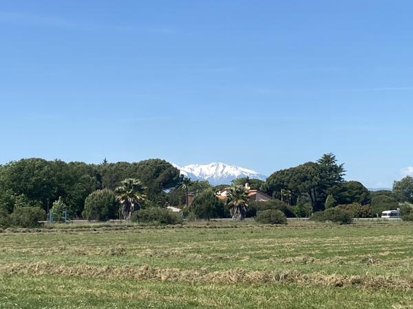 Appartement à vendre à Argelès-sur-Mer (66700) - Pyrénées-Orientales