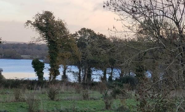 Maison à NOYALO (56450)