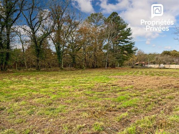 Maison neuve 3 pièces plain-pied 61 m² avec terrain plus de 3000 m²