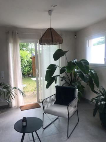 Local commercial  45 m2 avec terrasse - Saint-Avé - Proximité axe voie rapide