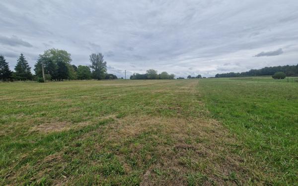 Terrain à vendre    Chabris