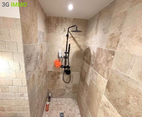 Vente / Maison en pierre