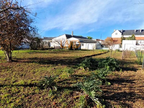 Terrain constructible