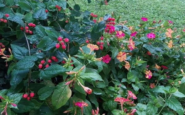 Maison à vendre    9 pièces • 260 m2 Coulommiers