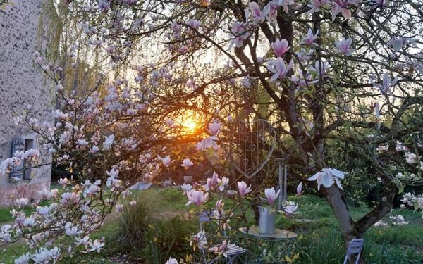 Maison à vendre    9 pièces • 260 m2 Coulommiers