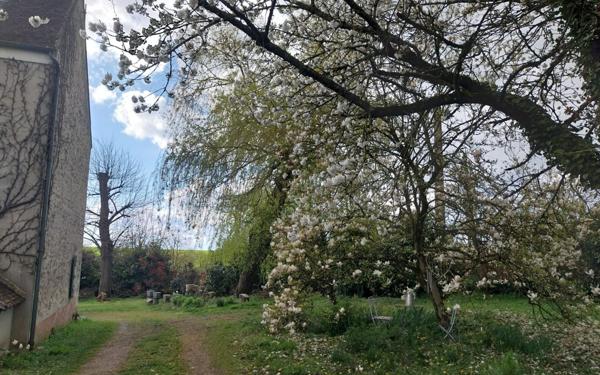 Maison à vendre    9 pièces • 260 m2 Coulommiers