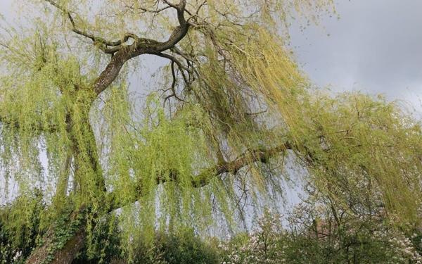 Maison à vendre    9 pièces • 260 m2 Coulommiers