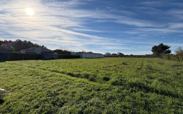 Terrain à vendre    Dolus-d'Oléron