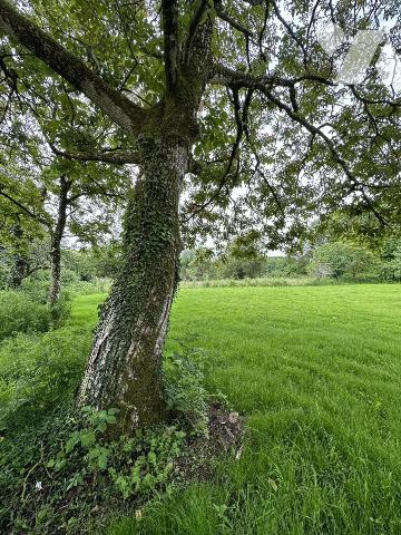 A VENDRE 56 BRECH DEMEURE EN PIERRES DANS BEL ENVIRONNEMENT - NOMBREUSES POSSIBILITES
