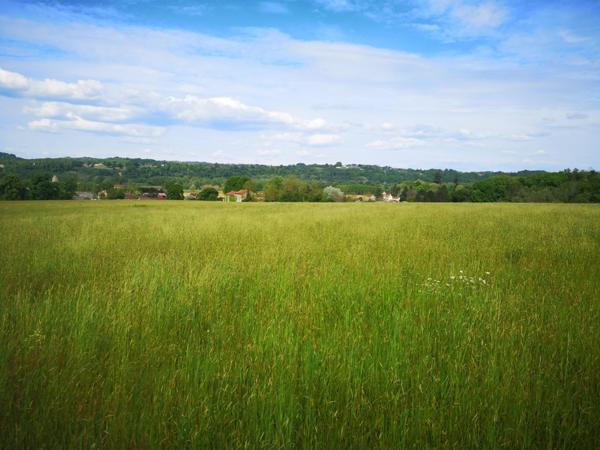 Terrain à LE BUISSON-DE-CADOUIN, 24480 - 1938m²