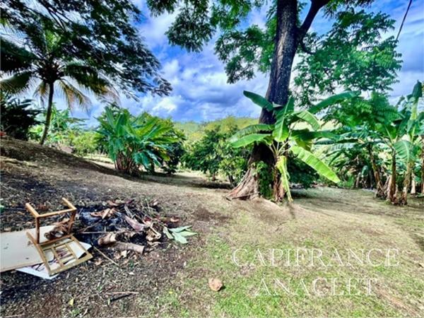 ❤️COUP DE CŒUR❤️ Magnifique Villa vue mer à vendre à LE ROBERT (972)