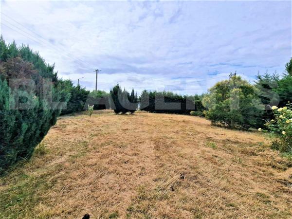 🏡 Maison de plain-pied – Terrain constructible 2 200 m² – Division possible – Panneaux photovoltaïqu