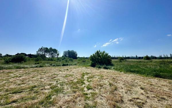 Terrain à vendre    Coursan