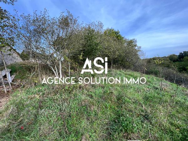 Maison en pierre 40m2 - grange 65 m2 - terrain boisé 400 m2