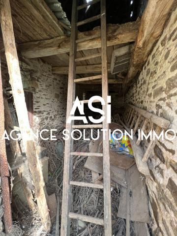 Maison en pierre 40m2 - grange 65 m2 - terrain boisé 400 m2