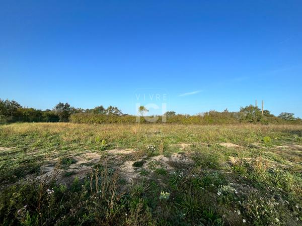 SAINT BREVIN LES PINS - Terrain de loisirs boisé