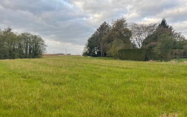 Terrain à vendre    Laurède