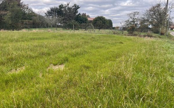 Terrain à vendre    Laurède