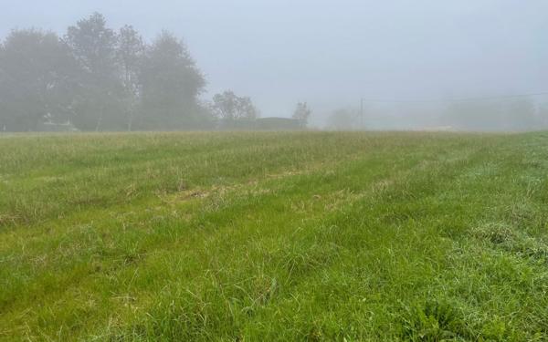 Terrain à vendre    Laurède