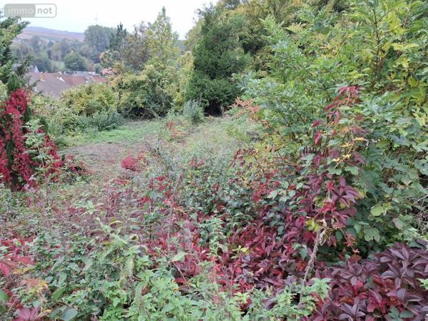 Maison à vendre à Camblain-Châtelain dans le Pas-de-Calais (62470), ref : 62050-1736