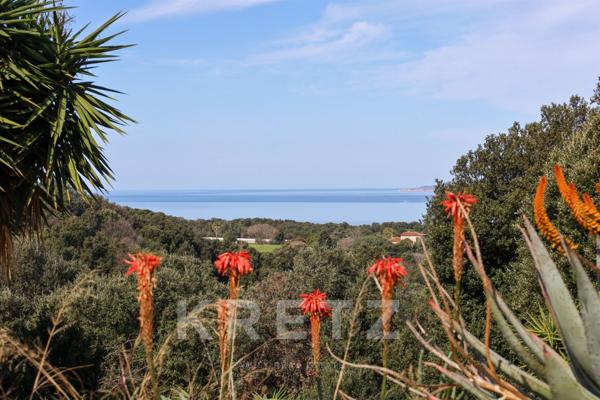 Maison proche du village de Calcatoggio