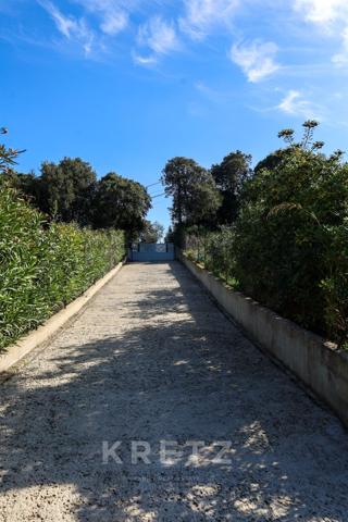 Maison proche du village de Calcatoggio