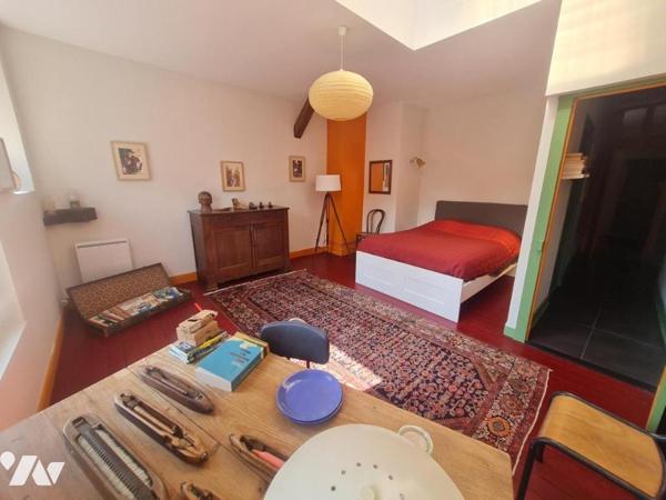 MAISON DE MAITRE- A VENDRE- VENDOME (41100)