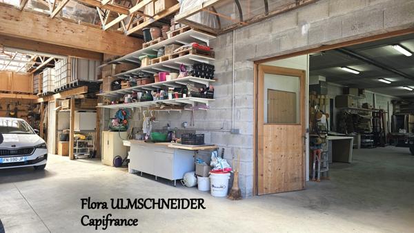 ATELIER, STOCKAGE, BUREAU à vendre MAGNIEU (01) avec logement de fonction + terrain proche de BELLEY à env. 1H30 de Lyon et de Genève