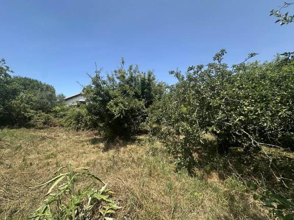 Terrain à vendre 374 500 € Lagord 624 m² DPE