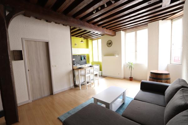 Appartement Orleans 2 pièce(s) 41 m2 Meublé