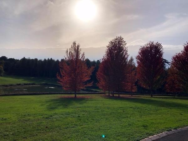 Magnifique manoir en pierre du 17 ème siècle.