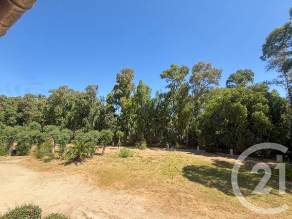 Appartement Studio à vendre  1 pièce - 25,75 m 2   CALVI  - 202