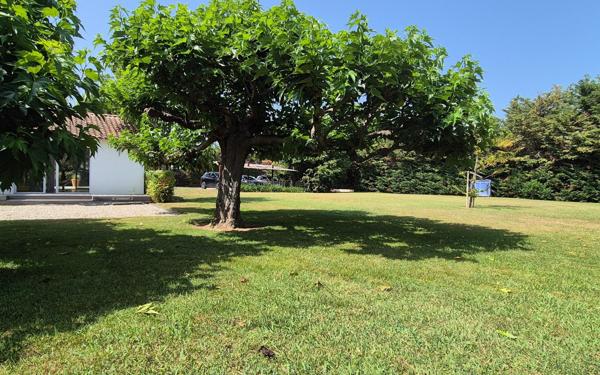 Maison à vendre    6 pièces • 295 m2 La Crau