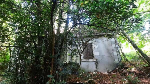 EXCLUSIF Vicq sur Nahon