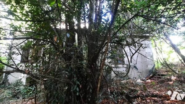 EXCLUSIF Vicq sur Nahon