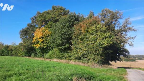 EXCLUSIF Vicq sur Nahon