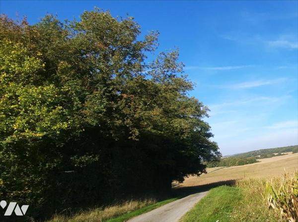 EXCLUSIF Vicq sur Nahon