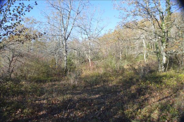 Terrain à vendre |  Cazals |  4700 m²