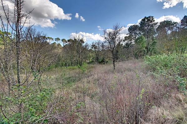 À vendre en exclusivité à Lorgues, un terrain agricole non constructible de 2048 m².