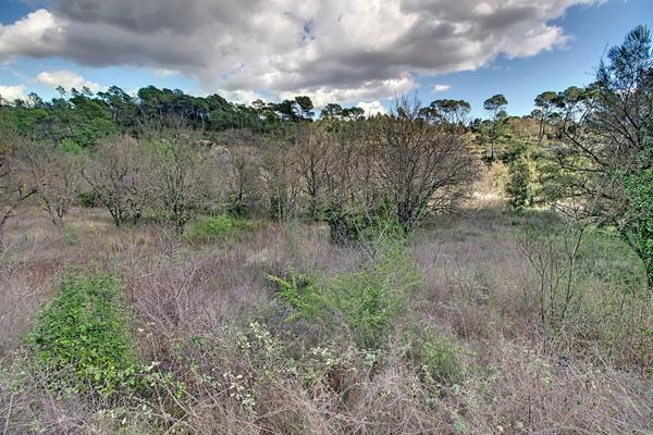 À vendre en exclusivité à Lorgues, un terrain agricole non constructible de 2048 m².